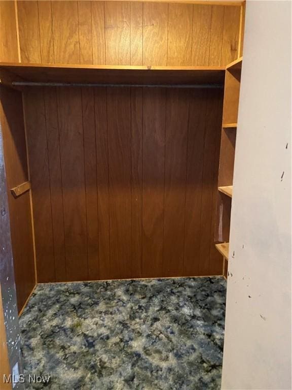 100 Crestview Dr, Newcomerstown, OH 43832 - view of walk in closet