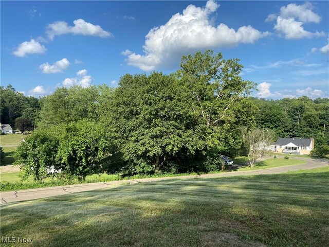 100 Crestview Dr, Newcomerstown, OH 43832 - view of green lawn