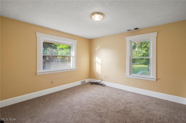 57 Charles Ave, Boardman, OH 44512 - spare room featuring healthy amount of natural light, carpet, and a textured ceiling
