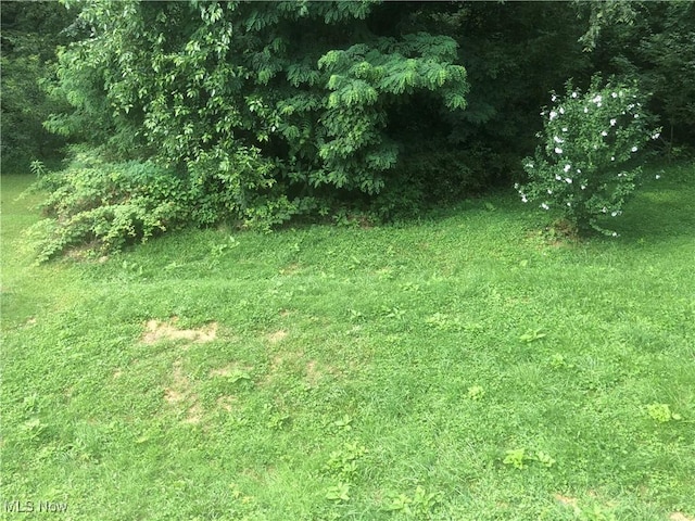 204 Beech Rd, Weirton, WV 26062 - view of local wilderness