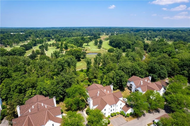 1217 W River Rd N Unit A3, Elyria, OH 44035 - aerial perspective of suburban area with a heavily wooded area and a large body of water