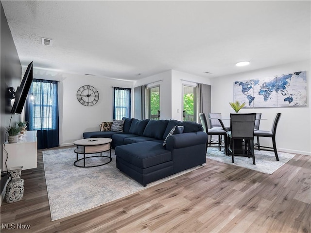 1217 W River Rd N Unit A3, Elyria, OH 44035 - living area with wood finished floors and healthy amount of natural light