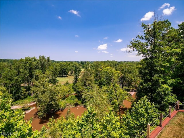 1217 W River Rd N Unit A3, Elyria, OH 44035 - bird's eye view of a forest