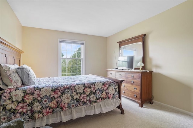 8883 Michaels Ln, Broadview Heights, OH 44147 - bedroom with light colored carpet and baseboards