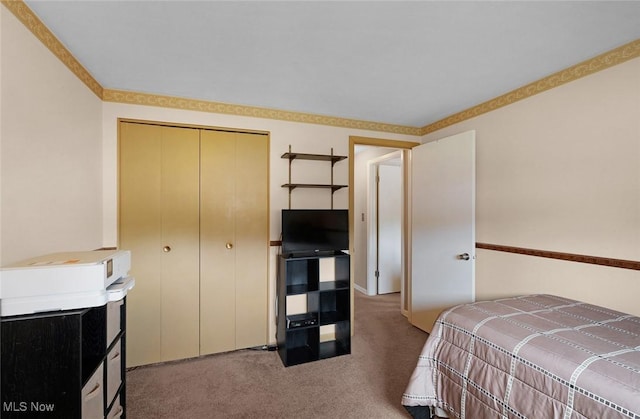 6122 Forest Ridge Dr, North Olmsted, OH 44070 - bedroom featuring carpet floors and a closet