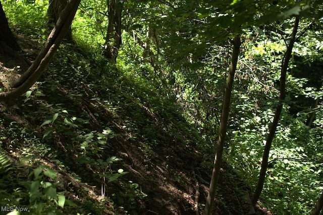 Rabbit Hill Rd, Wellsburg, WV 26070 - photo 3