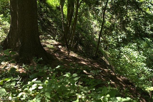 Rabbit Hill Rd, Wellsburg, WV 26070 - photo 5