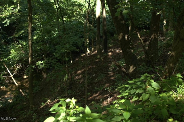 Rabbit Hill Rd, Wellsburg, WV 26070 - photo 6