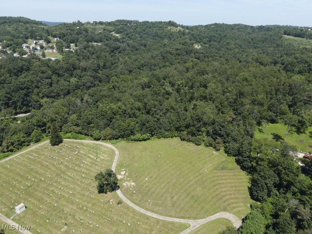 Rabbit Hill Rd, Wellsburg, WV 26070 - photo 17