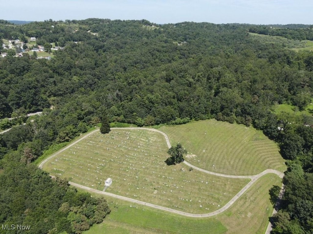 Rabbit Hill Rd, Wellsburg, WV 26070 - photo 18