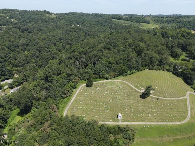 Rabbit Hill Rd, Wellsburg, WV 26070 - photo 19