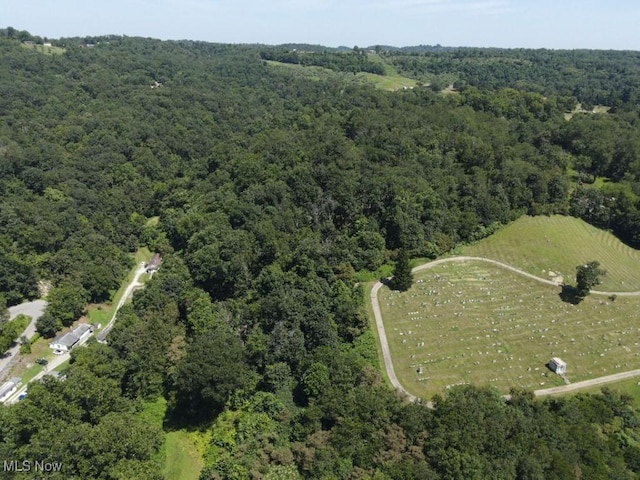 Rabbit Hill Rd, Wellsburg, WV 26070 - photo 20