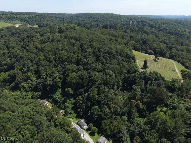 Rabbit Hill Rd, Wellsburg, WV 26070 - photo 22