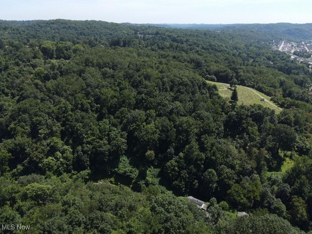 Rabbit Hill Rd, Wellsburg, WV 26070 - photo 23