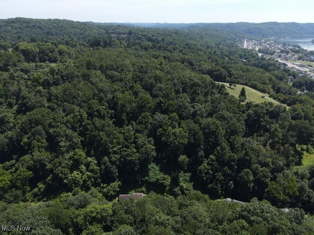 Rabbit Hill Rd, Wellsburg, WV 26070 - photo 24