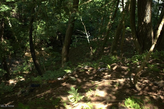 Rabbit Hill Rd, Wellsburg, WV 26070 - photo 11