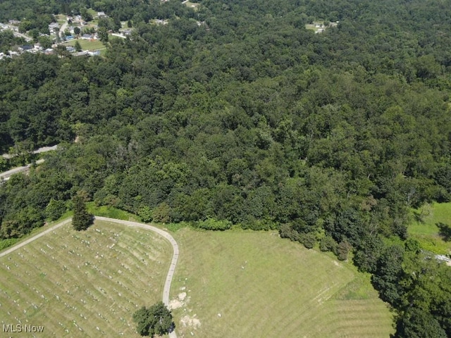 Rabbit Hill Rd, Wellsburg, WV 26070 - photo 16