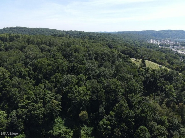 Rabbit Hill Rd, Wellsburg, WV 26070 - photo 25