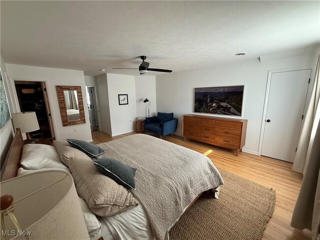 18969 Colahan Dr, Rocky River, OH 44116 - photo 17