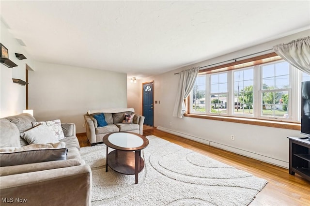 129 Whitman Blvd, Elyria, OH 44035 - living room featuring wood finished floors and baseboards