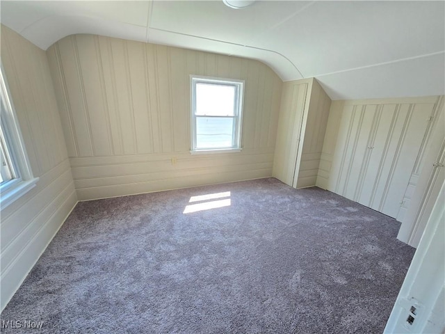 26313 Oriole Ave, Euclid, OH 44132 - bonus room featuring lofted ceiling and carpet flooring
