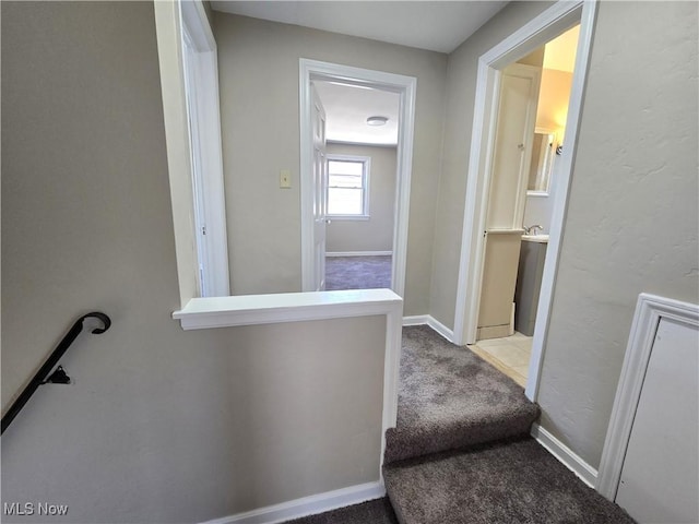 26313 Oriole Ave, Euclid, OH 44132 - hallway with carpet floors and baseboards