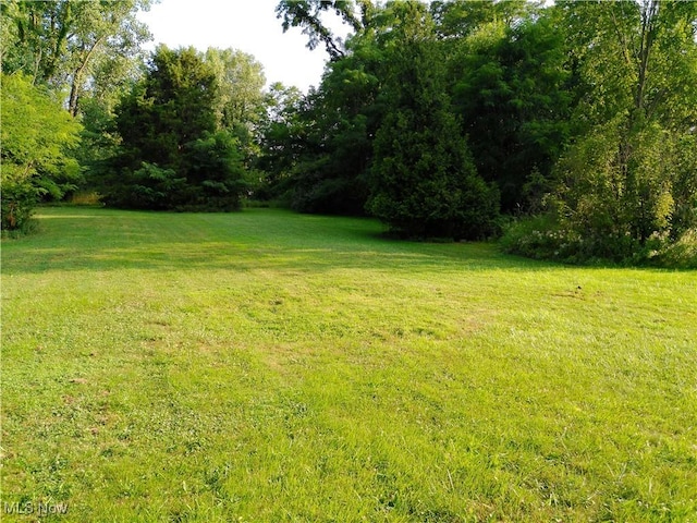 5476 Chippewa Rd, Medina, OH 44215 - photo 33