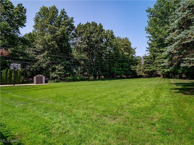 6572 Scenic Park Oval, Middleburg Heights, OH 44130 - photo 37