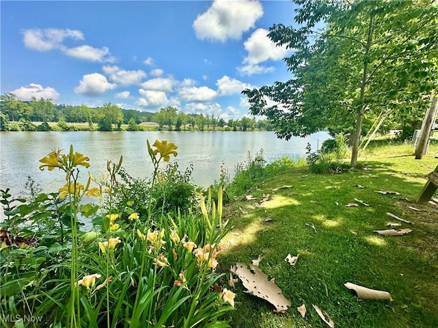 4145 Old River Rd, Philo, OH 43771 - water view