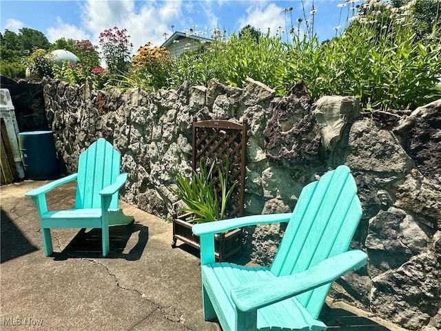 4145 Old River Rd, Philo, OH 43771 - view of patio