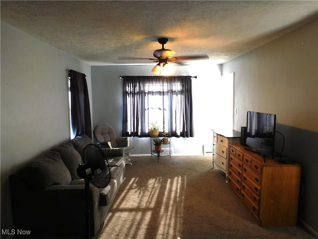 3233 Wilson Ave, Ashtabula, OH 44004 - living area featuring carpet flooring, a ceiling fan, and a textured ceiling