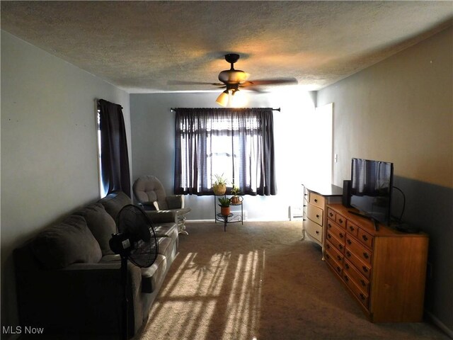 3233 Wilson Ave, Ashtabula, OH 44004 - photo 6