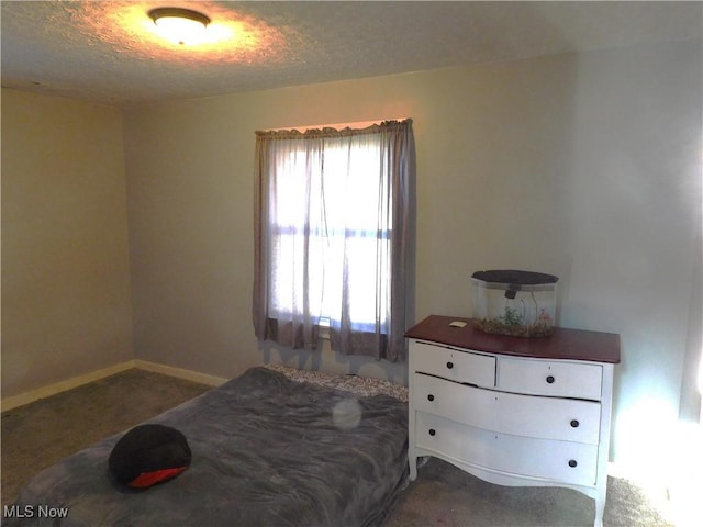 3233 Wilson Ave, Ashtabula, OH 44004 - bedroom with carpet and a textured ceiling