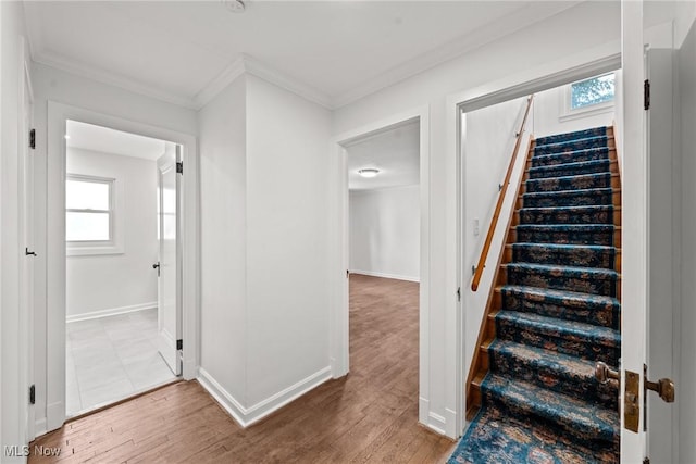 1361 Plainfield Rd, South Euclid, OH 44121 - staircase featuring wood finished floors and ornamental molding