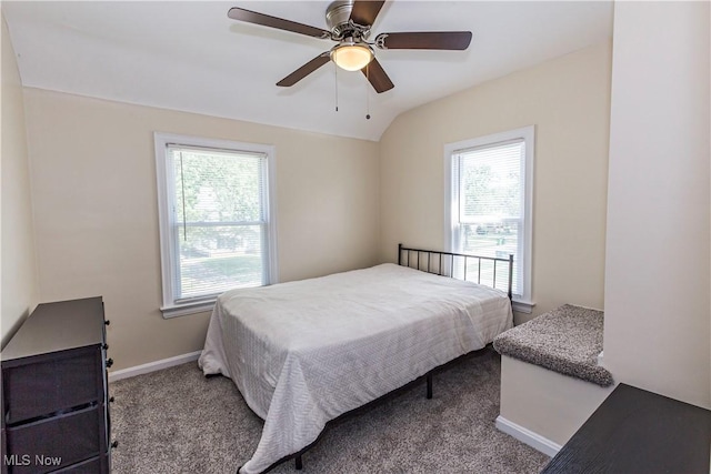 234 E 218th St, Euclid, OH 44123 - bedroom featuring multiple windows, carpet, and ceiling fan