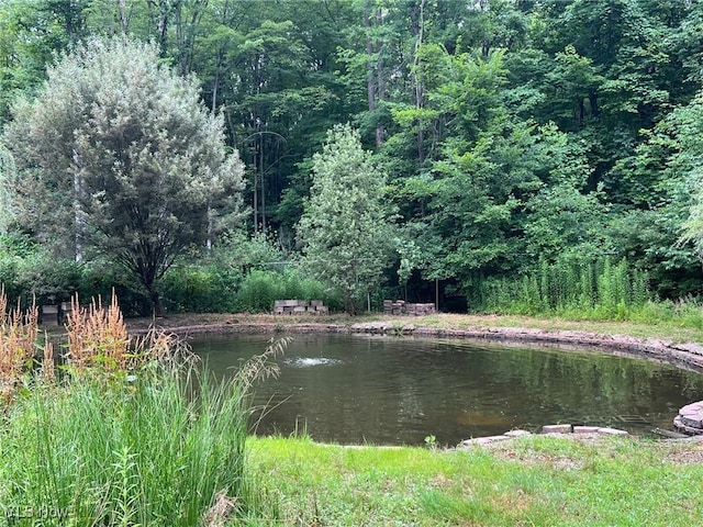 8985 Williams Rd, Chardon, OH 44024 - water view featuring a heavily wooded area