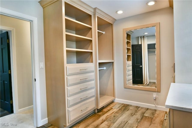 191 Maple Leaf Dr, Hubbard, OH 44425 - view of closet
