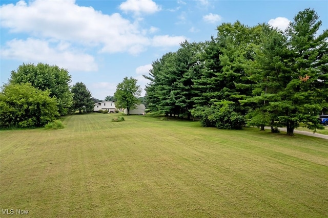 18259 William Dr, Doylestown, OH 44230 - view of green lawn