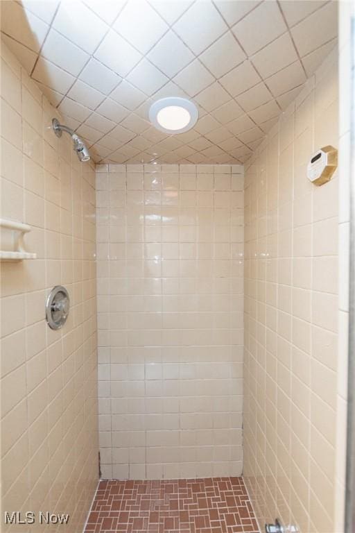 3817 Washington Park Blvd, Newburgh Heights, OH 44105 - full bath featuring tiled shower