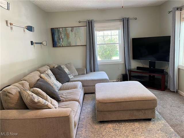 35958 Hiawatha Blvd, Eastlake, OH 44095 - carpeted living area featuring a textured ceiling