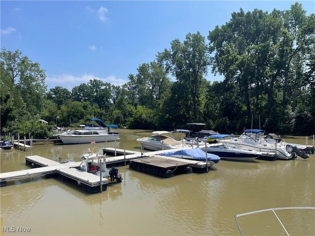 35958 Hiawatha Blvd, Eastlake, OH 44095 - dock area with a water view