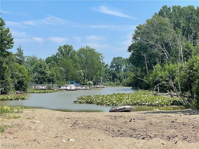 35958 Hiawatha Blvd, Eastlake, OH 44095 - water view