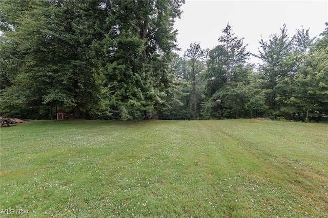 11756 Clarke Rd, Columbia Station, OH 44028 - view of green lawn