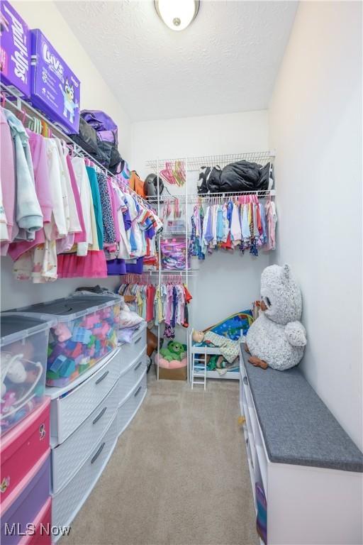 4504 Ledge Ct, Kent, OH 44240 - spacious closet featuring carpet flooring