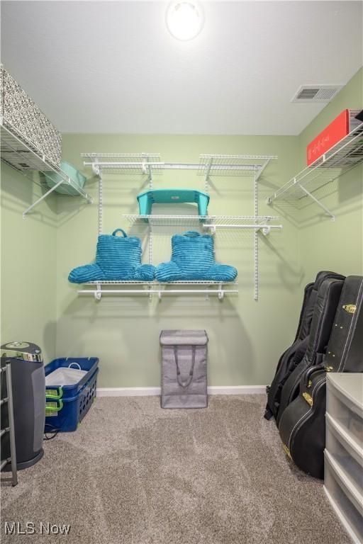 4504 Ledge Ct, Kent, OH 44240 - walk in closet featuring carpet floors