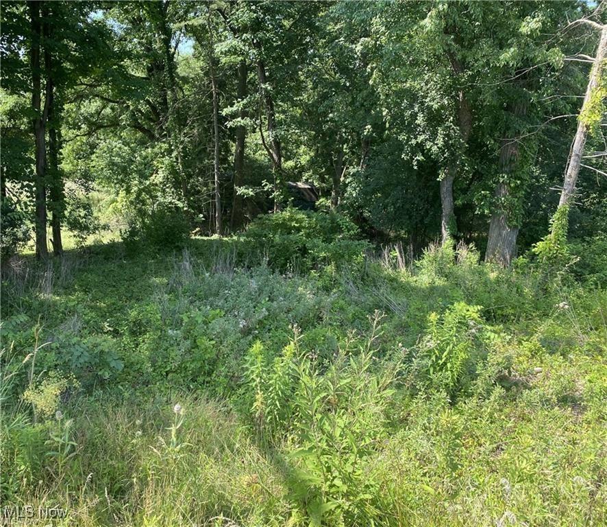 0 Hills And Dales Rd NW, Canton, OH 44708 - photo 1