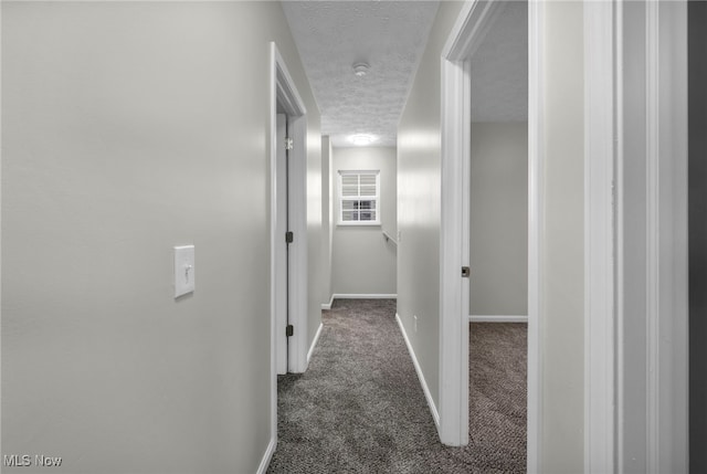 1214 Jersey St, Alliance, OH 44601 - photo 24