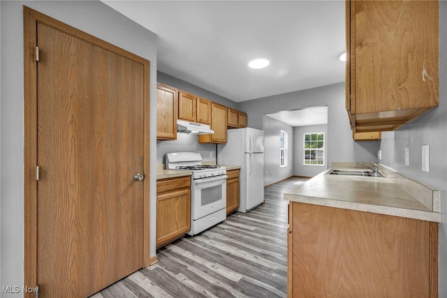 1350 Elmside St, Alliance, OH 44601 - kitchen featuring white appliances, under cabinet range hood, light wood-style flooring, and light countertops