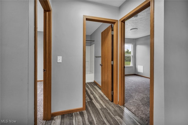 1350 Elmside St, Alliance, OH 44601 - corridor with wood finished floors and carpet flooring