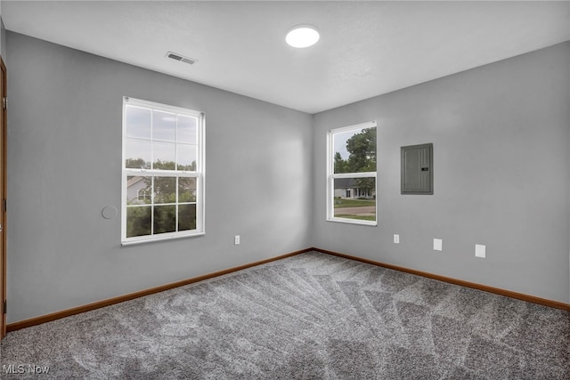 1350 Elmside St, Alliance, OH 44601 - spare room with electric panel and carpet flooring